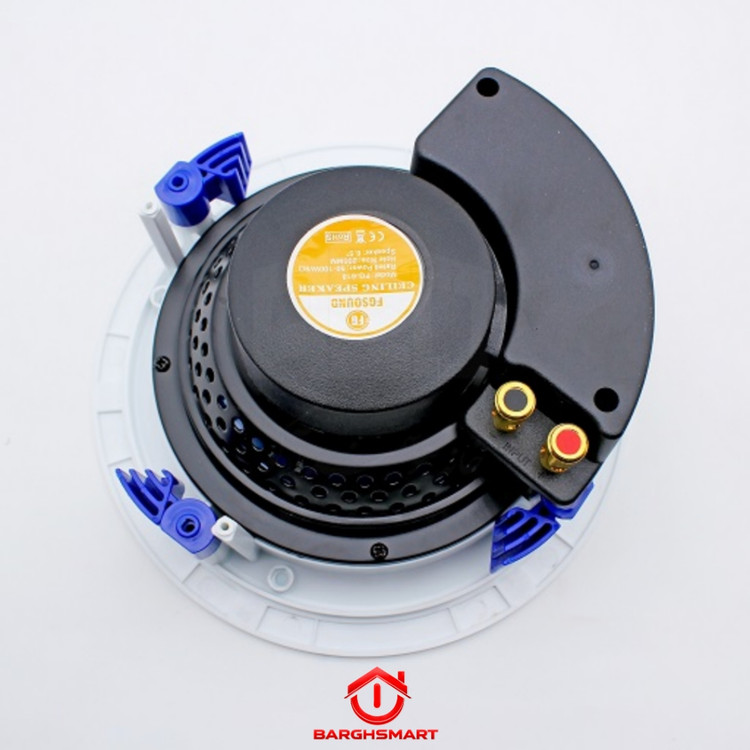 اسپیکر سقفی FG-sound مدل FG-618 100w